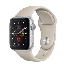 Часы Apple Watch Series 5 GPS 40mm Aluminum Case with Sport Band (Серебристый/Камень)