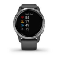 Умные часы Garmin Vivoactive 4, серебристый/серый