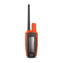 Навигатор Garmin Astro 430 с ошейником T5