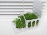 Открытка POSTCARDEN A mini living botanical garden (ботанический сад)