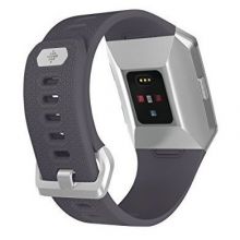 Часы Fitbit Ionic (Blue Gray/Silver Gray)