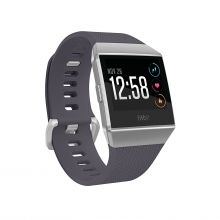 Часы Fitbit Ionic (Blue Gray/Silver Gray)