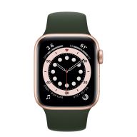 Умные часы Apple Watch Series 6 GPS + Cellular 40mm Aluminum Case with Sport Band, золотистый/темный зеленый