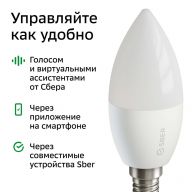 Лампа светодиодная SBER SBDV-00020, E14, C37, 5.5Вт, 6500 К