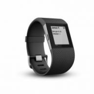 Часы Fitbit Surge L (Black)